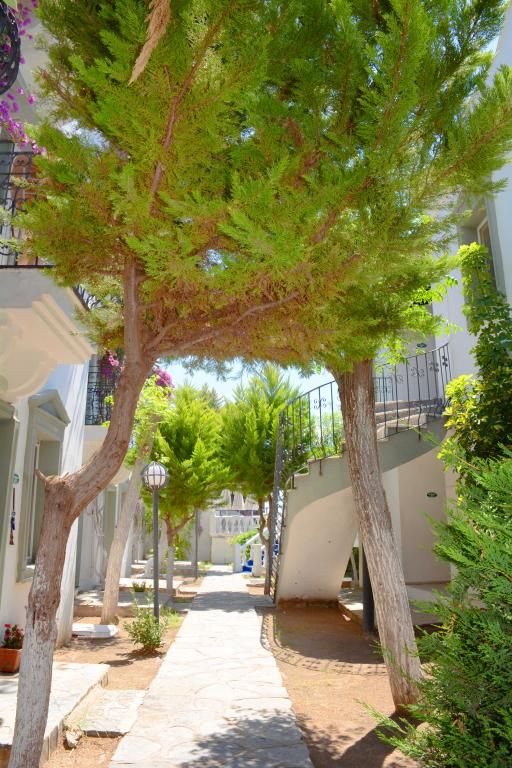 Maison48 oda içi