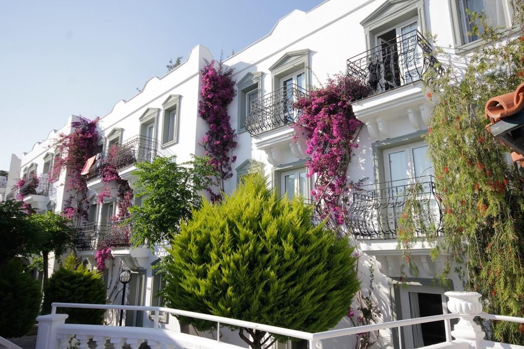 Maison48 bahçe